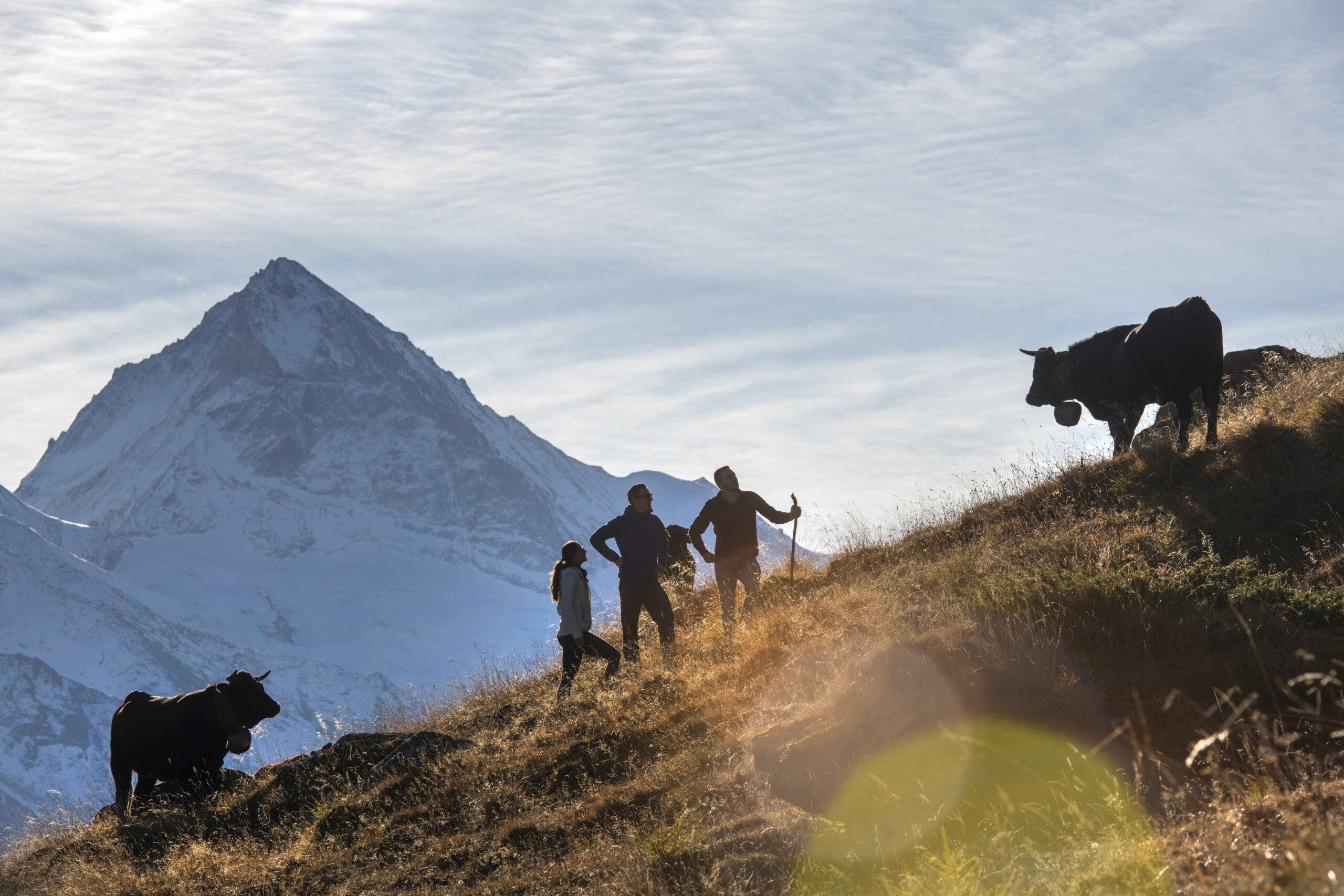 2019_Herens_55_©Valais Wallis Promotion - Yves Garneau
