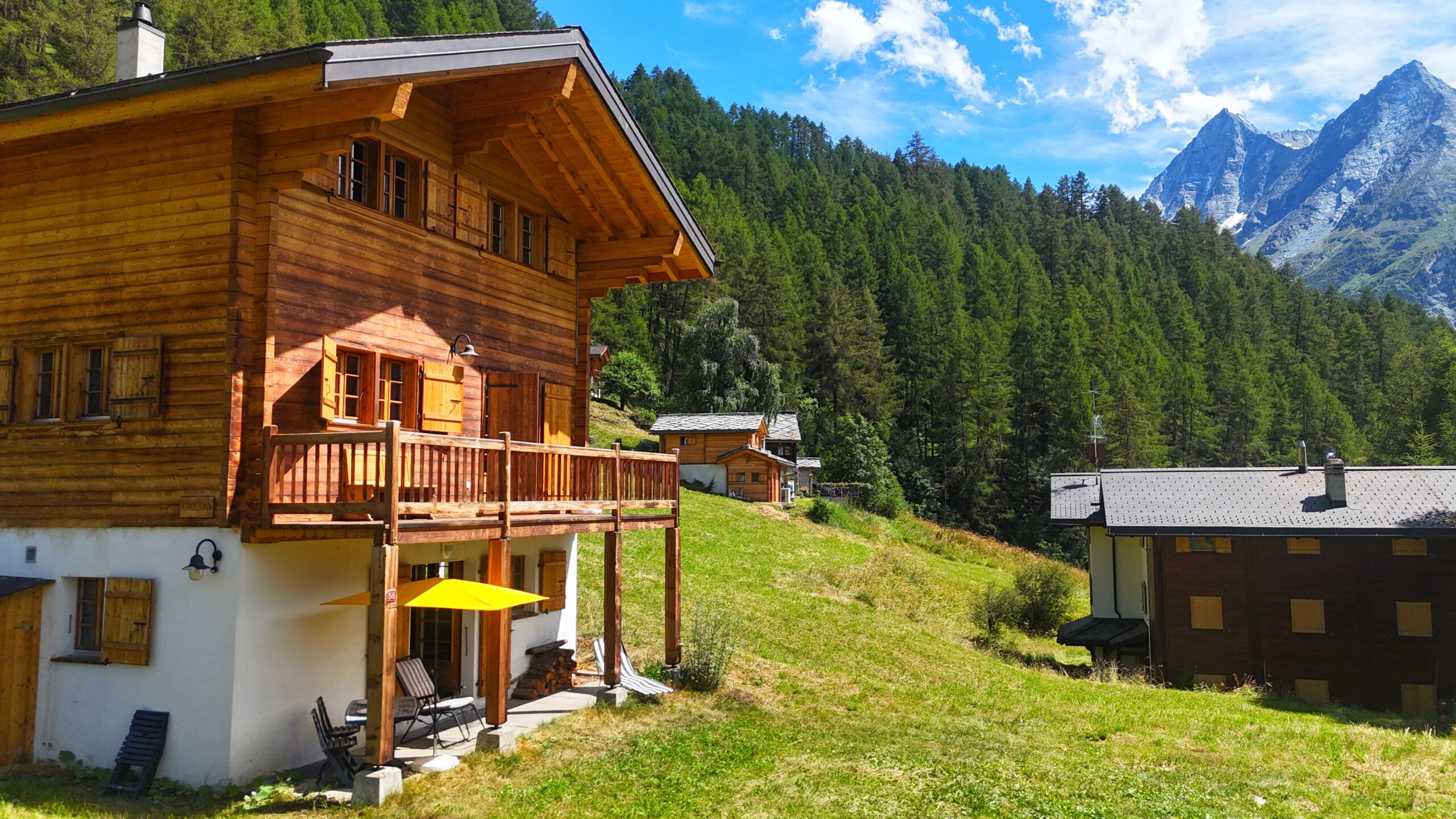 Agence immobilière Evolène